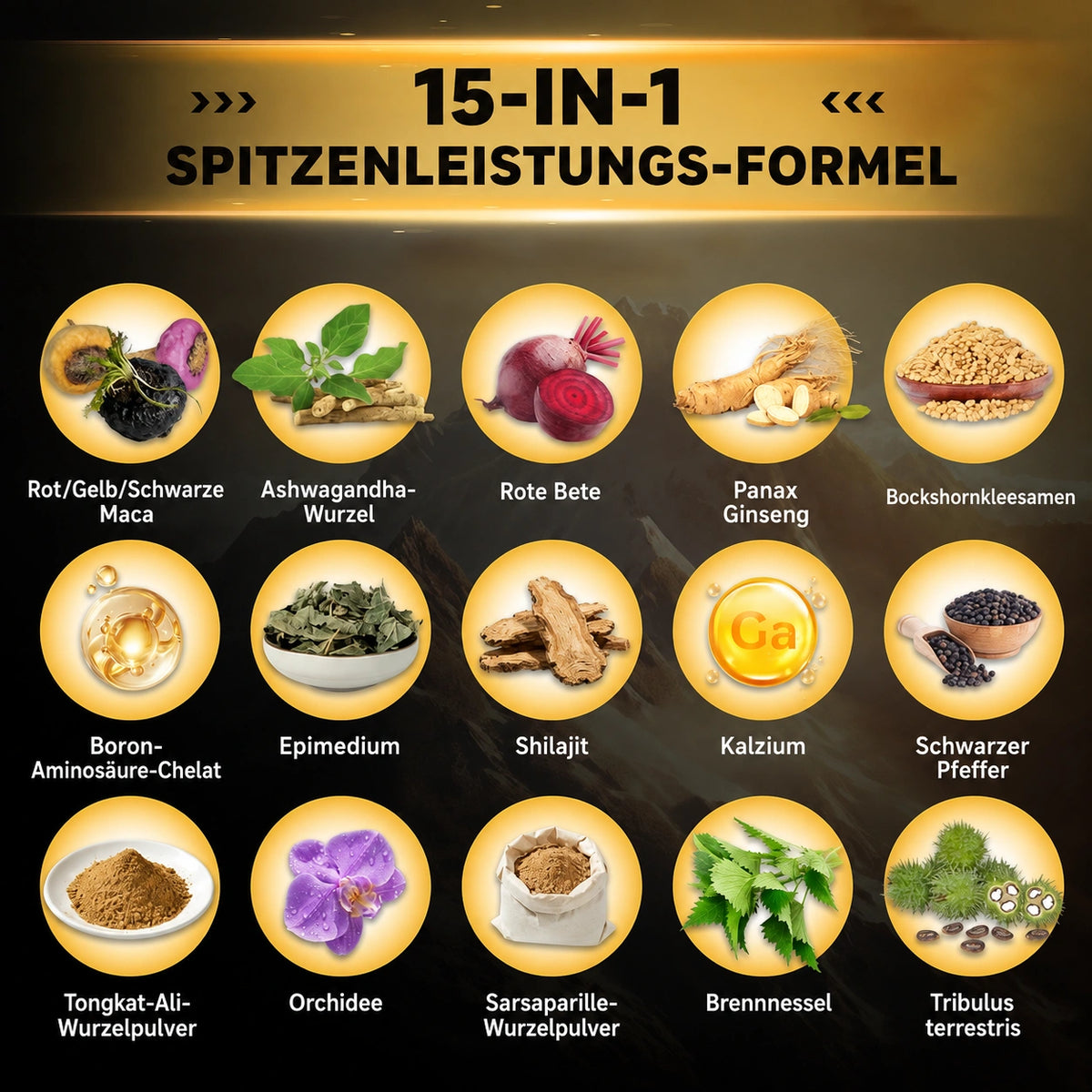Testosteron-Booster für Männer – Power-Komplex zur Unterstützung mit Shilajit, Maca, Ashwagandha und Ginseng